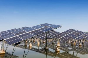 Tongwei and the Solar Energy Revolution